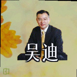 吴迪